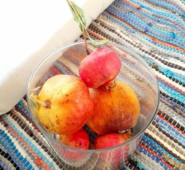 豪华工作室, Ble Mavi Studio For 2