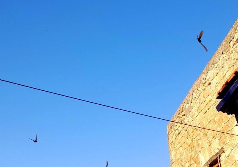 豪华工作室, Ble Mavi Studio For 2