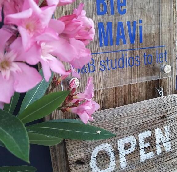 豪华工作室, Ble Mavi Studio For 2