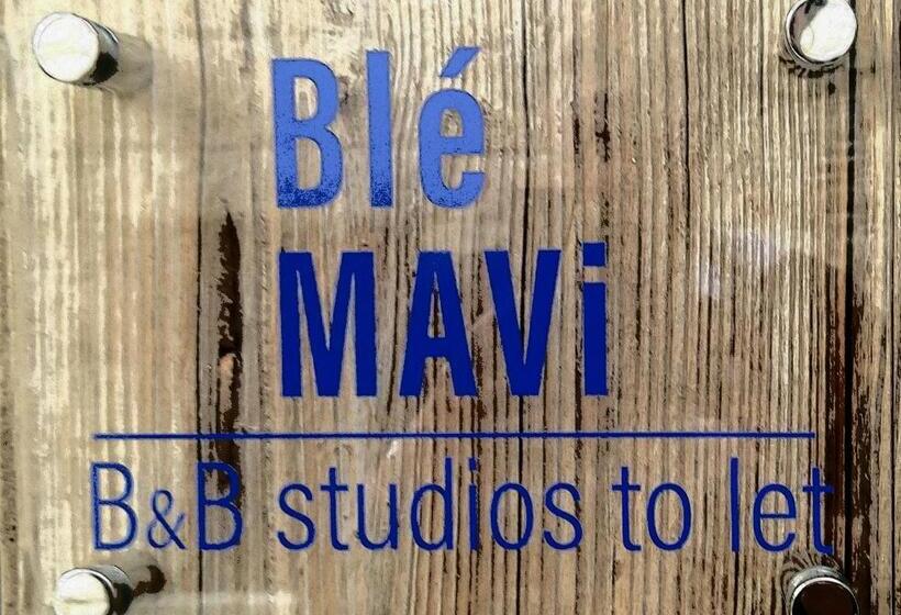 豪华工作室, Ble Mavi Studio For 2