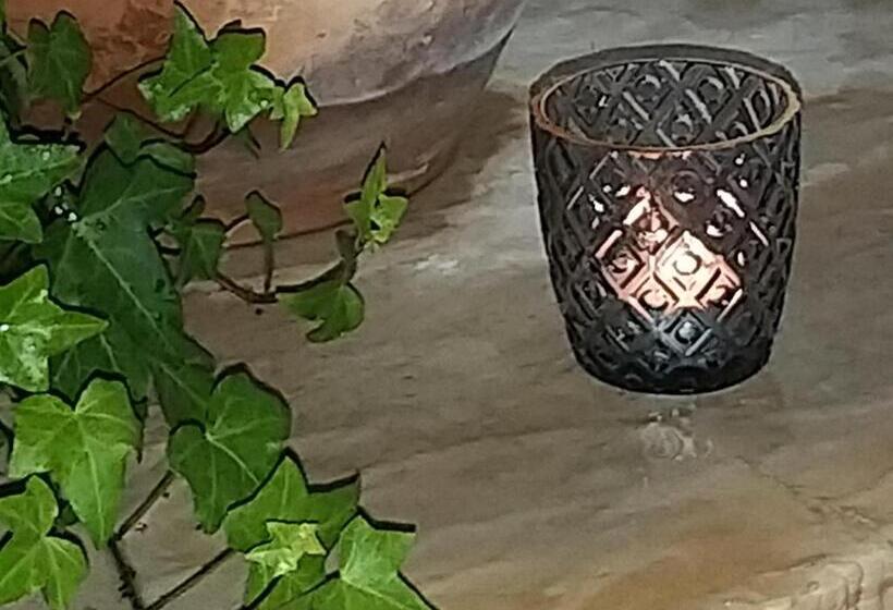 豪华工作室, Ble Mavi Studio For 2