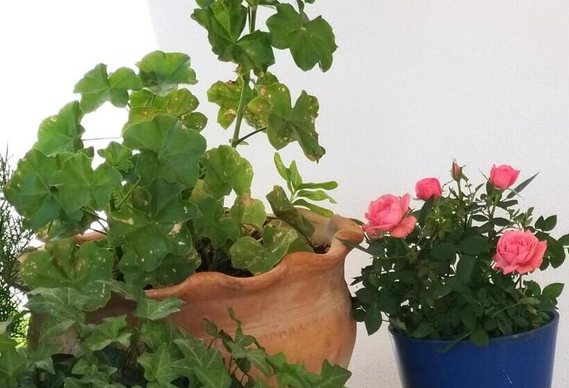 豪华工作室, Ble Mavi Studio For 2