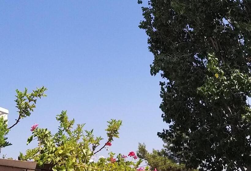 豪华工作室, Ble Mavi Studio For 2