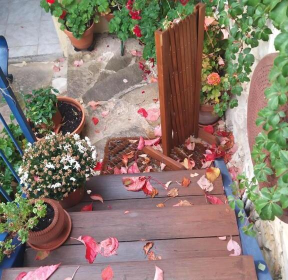 豪华工作室, Ble Mavi Studio For 2