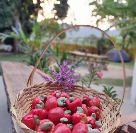 Standard Tent, Hostel Portal Das Fadas