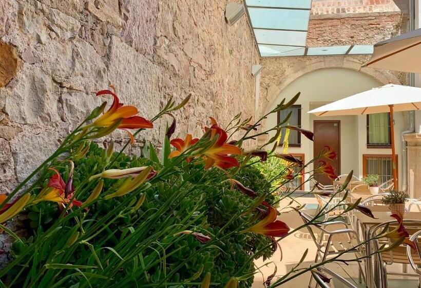 اتاق سوپریور, Hostal La Terrassa