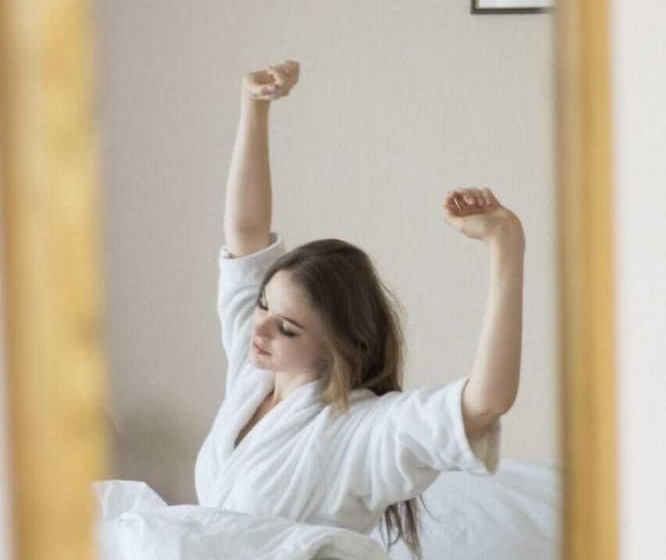 اتاق کلاس بیزنس, Baltica