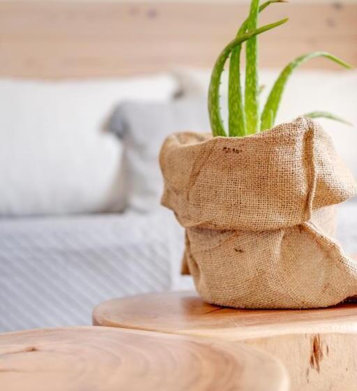 סטודיו סטנדרט עם מרפסת, Faros Resort