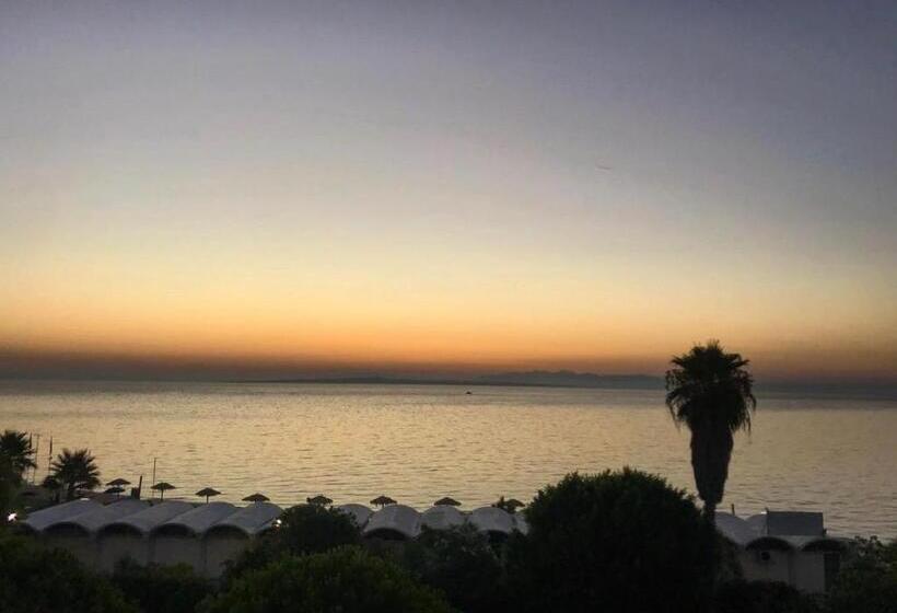 غرفة سوبيريور عائلية, Plaza