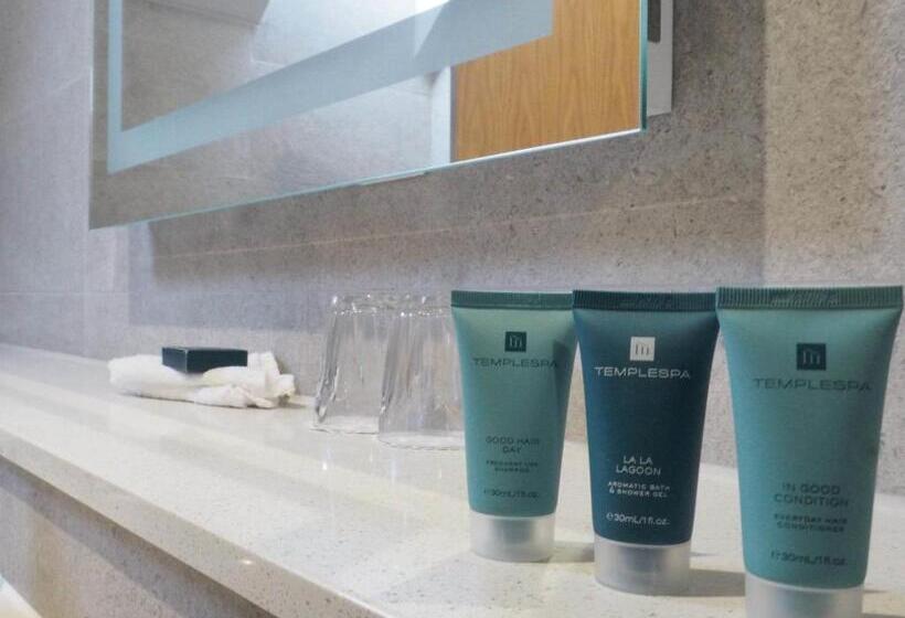 이그제큐티브 룸, Ramada Telford Ironbridge