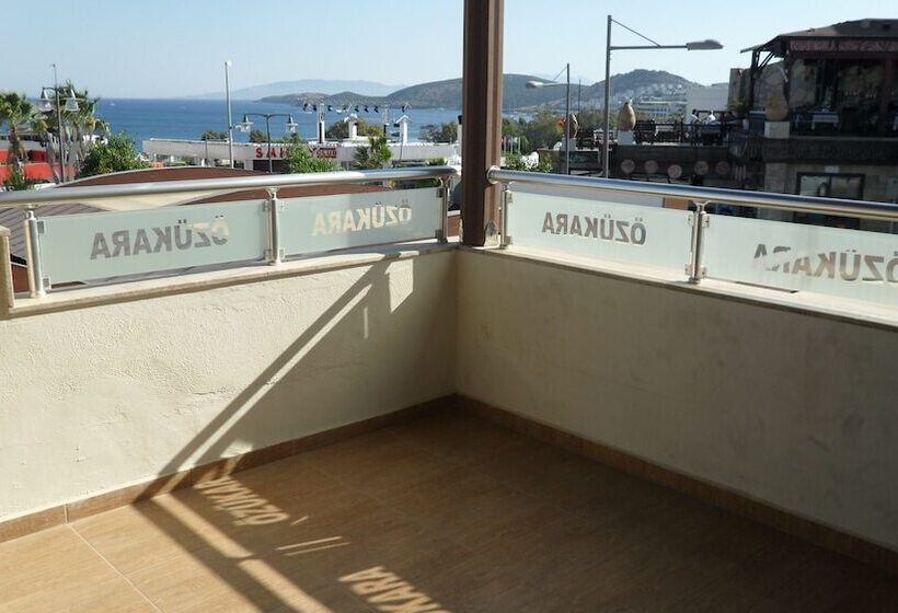 شقة غرفة واحدة, Ozukara Apart 1