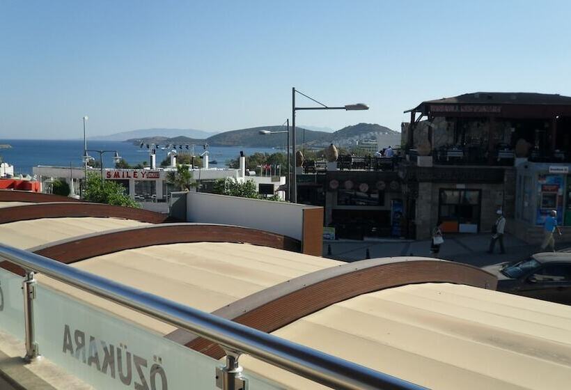 شقة غرفة واحدة, Ozukara Apart 1