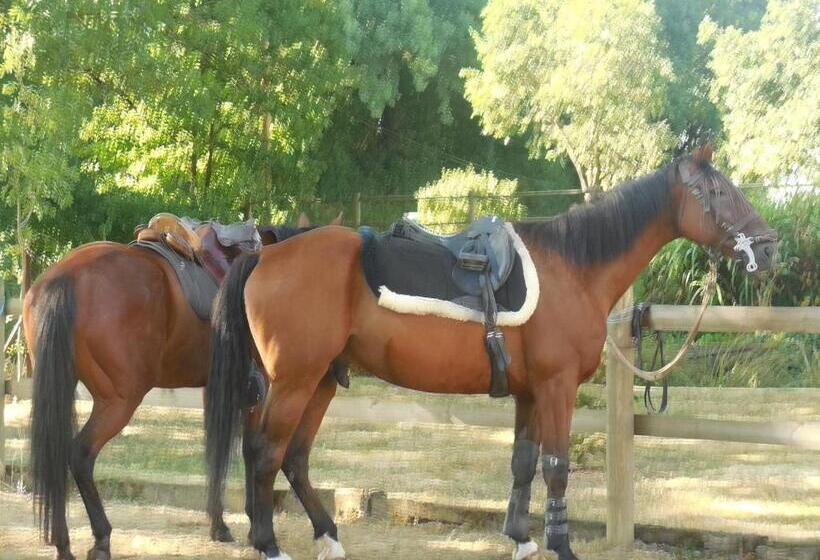 חדר משפחתי נוף לגינה, Chambre D’hôtes La Jument Grise