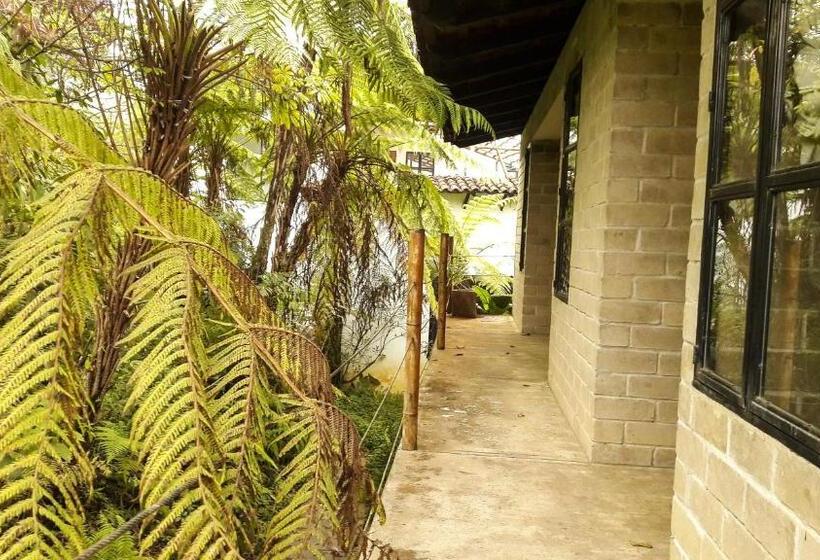 اتاق خانوادگی, Hospedaje Totalmanik