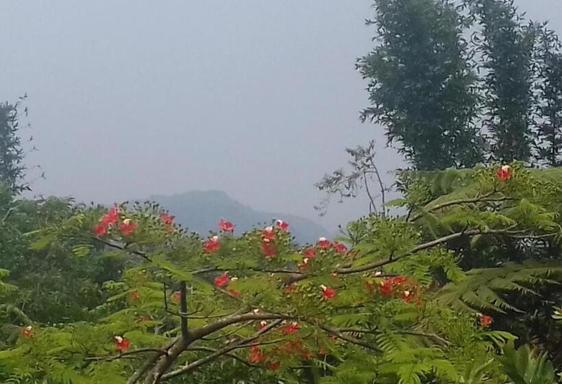 اتاق خانوادگی, Hospedaje Totalmanik