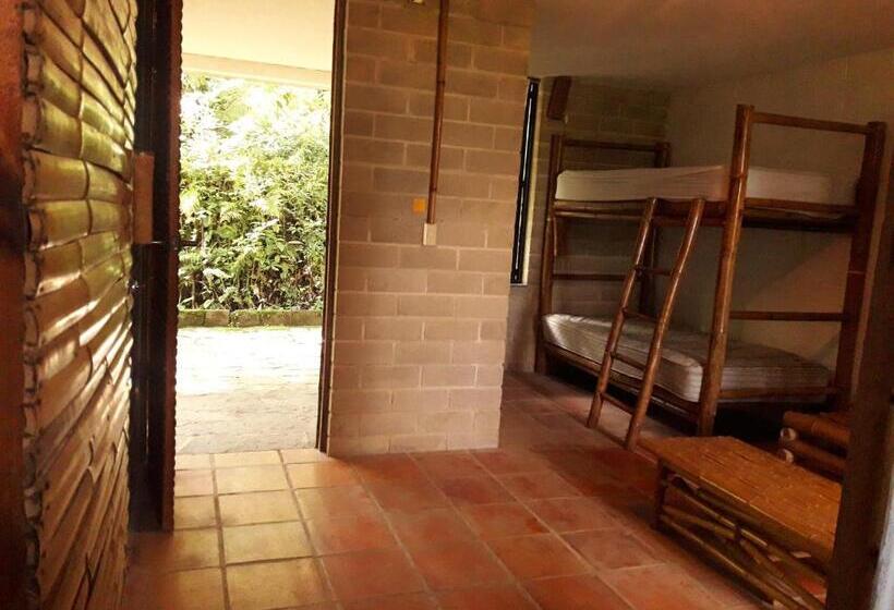 اتاق خانوادگی, Hospedaje Totalmanik