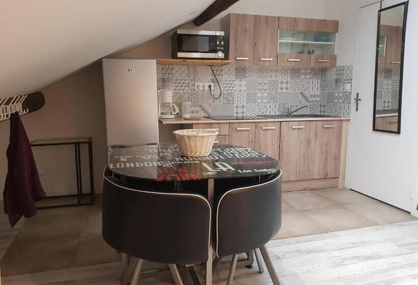 스탠다드 스튜디오, Appart Hotel Sathonay Rillieux Lyon