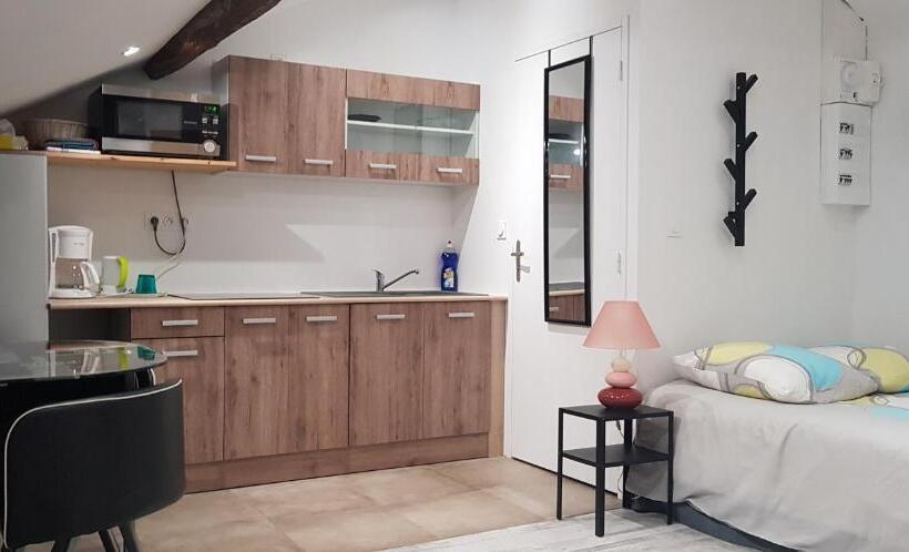 스탠다드 스튜디오, Appart Hotel Sathonay Rillieux Lyon