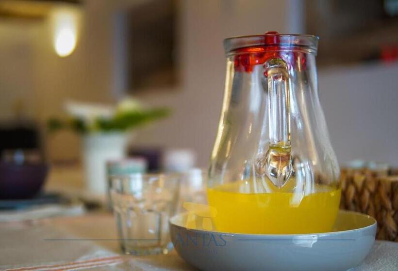 اتاق استاندارد, Antas Guest House