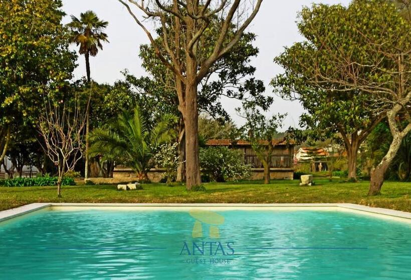 اتاق استاندارد, Antas Guest House