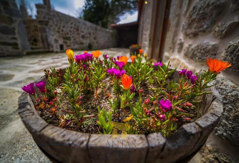 اتاق استاندارد سه نفره, Antas Guest House