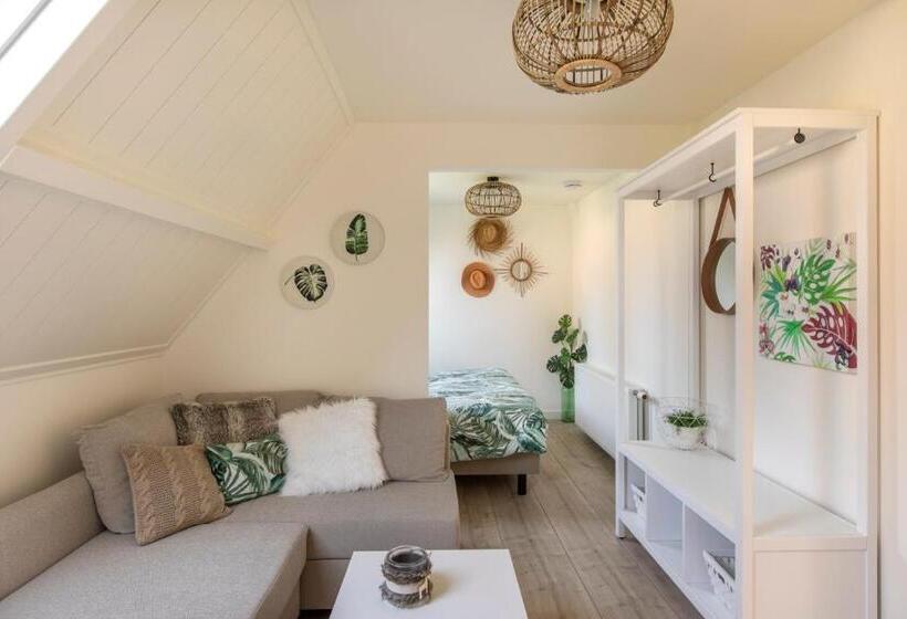 جناح جونيور, De Heerlijkheid Van Noordwelle Adults Only