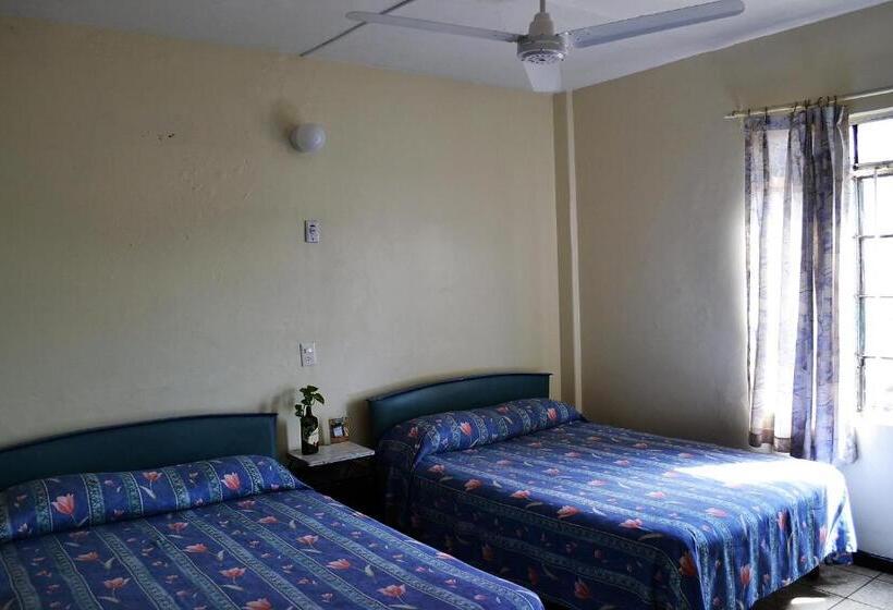 غرفة قياسية, Janeiro