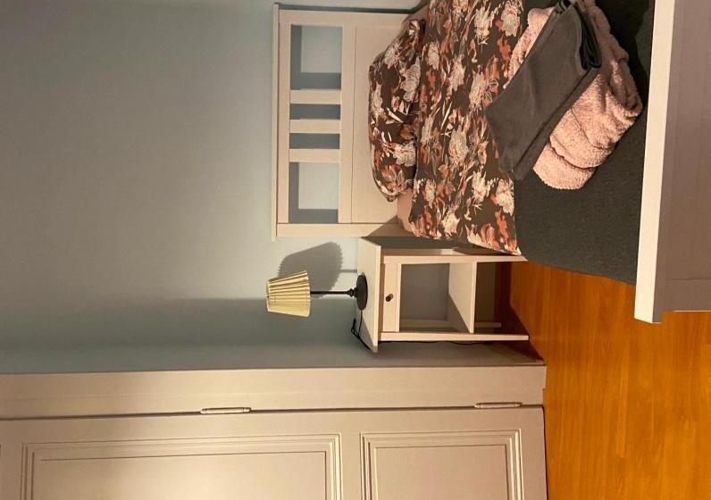 חדר סטנדרט יחיד, Pension Bienvenue