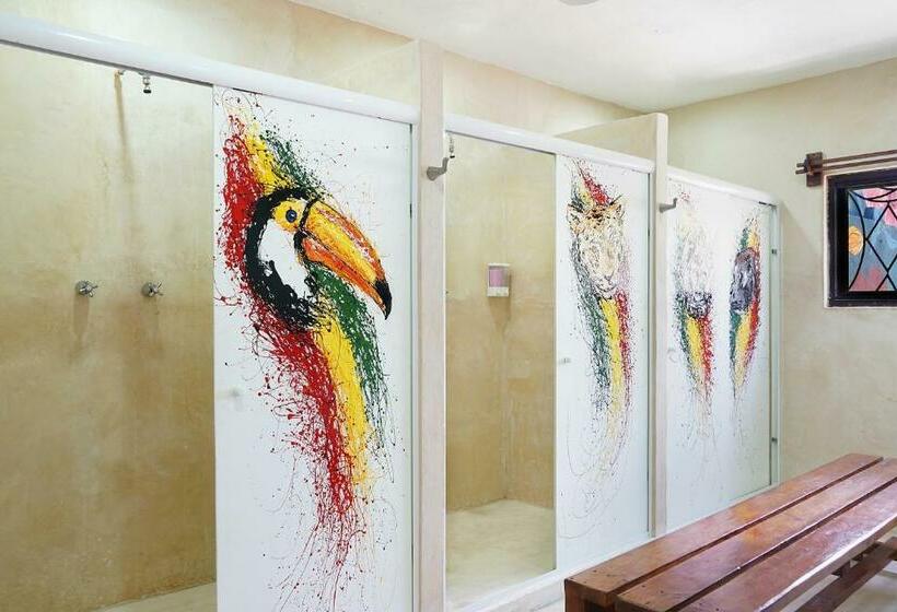 מיטה בחדר משותף, Red Panda Hostal