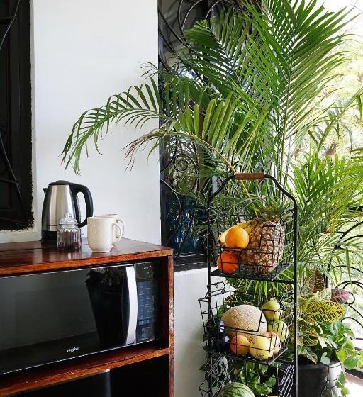 מיטה בחדר משותף, Red Panda Hostal