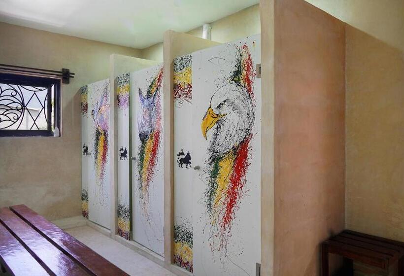 מיטה בחדר משותף, Red Panda Hostal