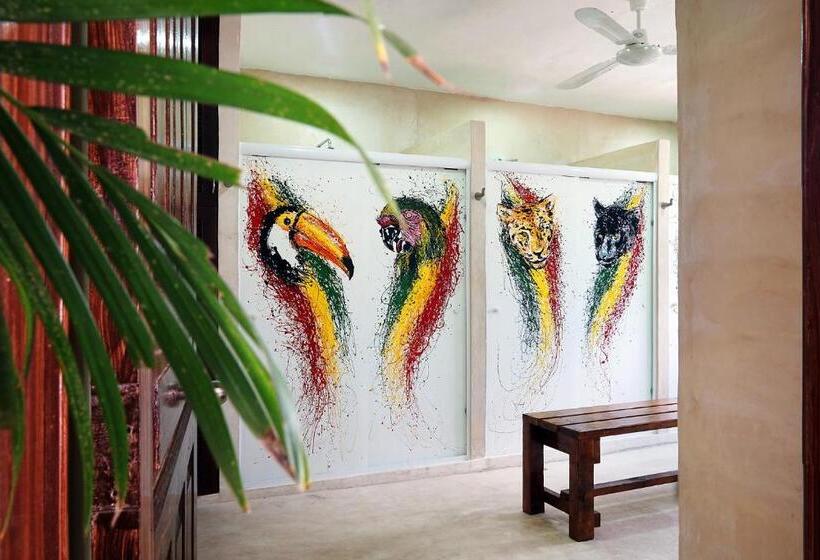 מיטה בחדר משותף, Red Panda Hostal