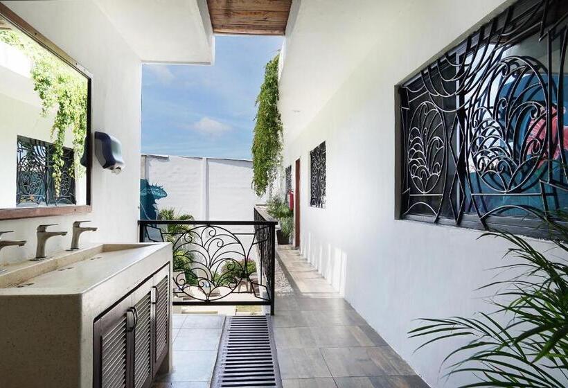 מיטה בחדר משותף, Red Panda Hostal