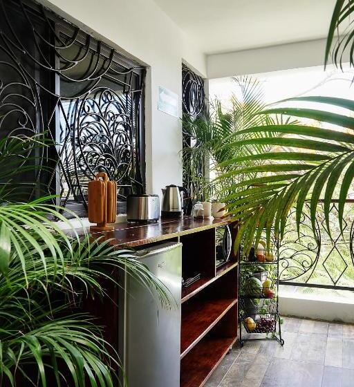 מיטה בחדר משותף, Red Panda Hostal