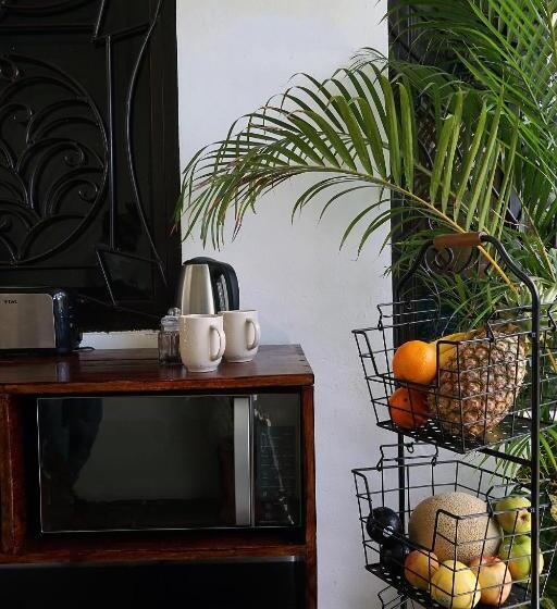 מיטה בחדר משותף, Red Panda Hostal