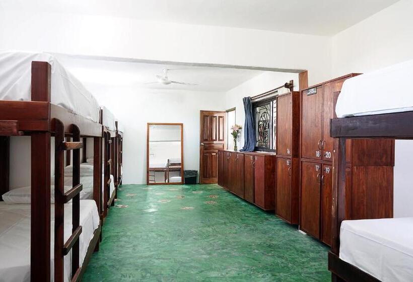 מיטה בחדר משותף, Red Panda Hostal