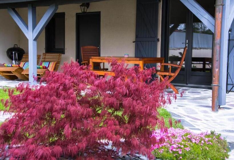 غرفة قياسية, La Chambre Enchantée