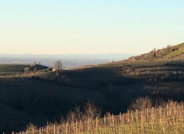 豪华房间, Agriturismo La Preara