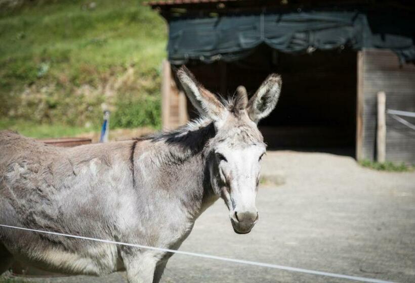 اتاق استاندارد, Podere Groppini