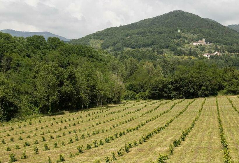 اتاق استاندارد, Podere Groppini