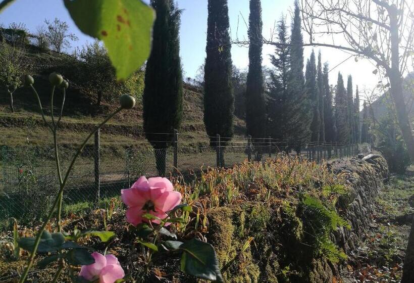 خانه 2 خوابه, Podere Groppini