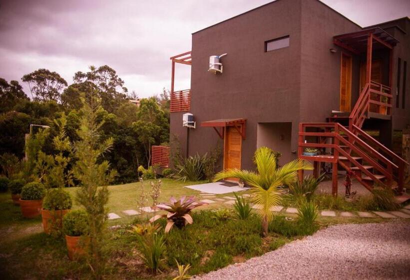 Люкс, Reserva Brasileira