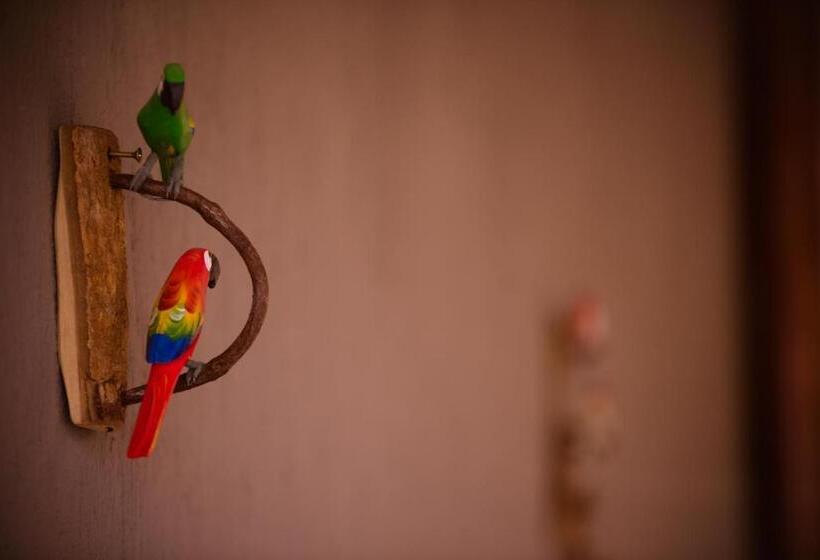 Family Suite, Reserva Brasileira