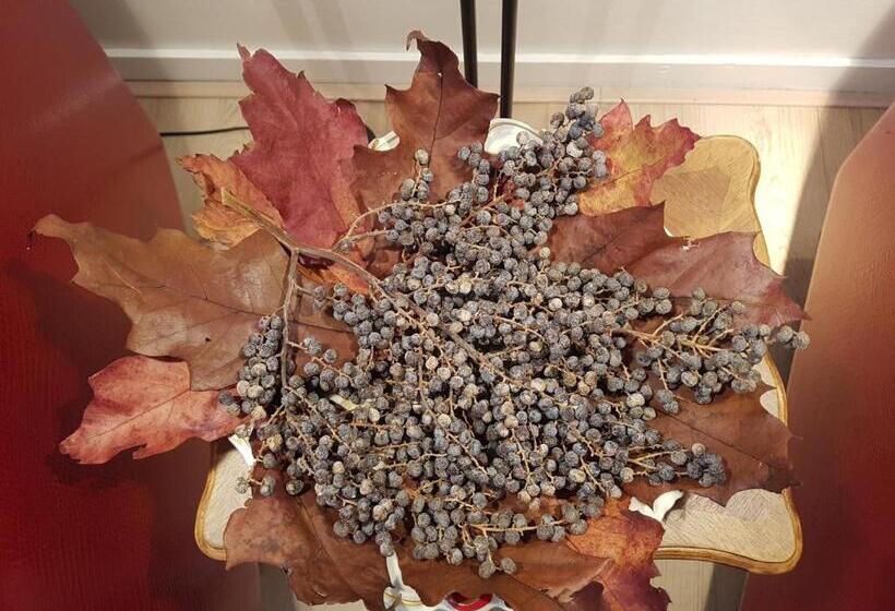 חדר סטנדרט, B&b De Panheide