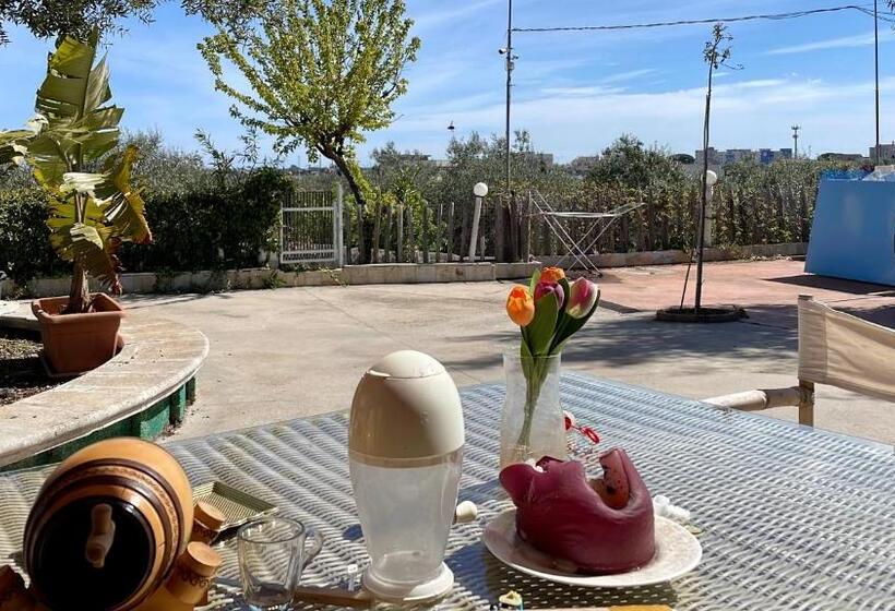 اتاق لوکس, Music House Alle Grotte