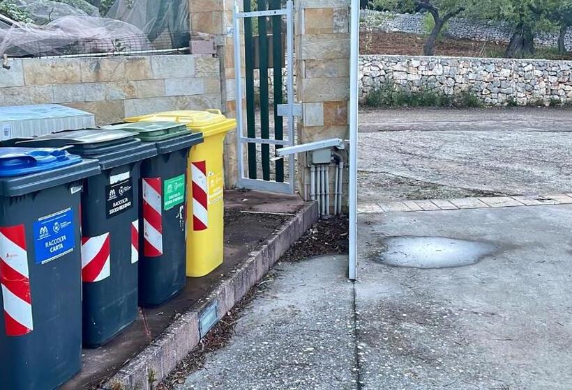 سوییت خانوادگی, Music House Alle Grotte