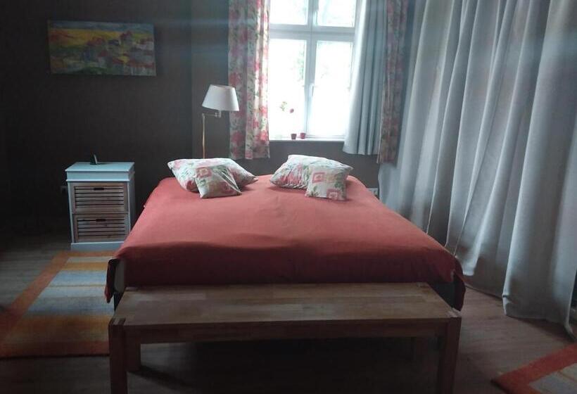 패밀리 스튜디오, Pension City Kontor Erfurt