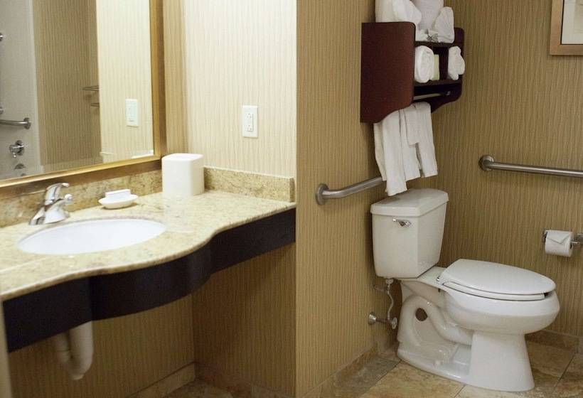 סטודיו סטנדרט, מיטה זוגית, Hampton Inn Rochesterwebster