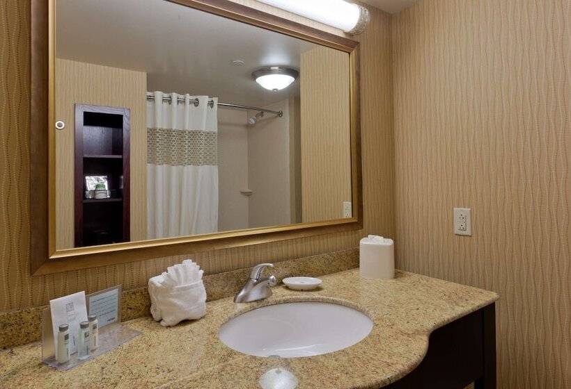 Студио Стандарт Кровать Кинг, Hampton Inn Rochesterwebster