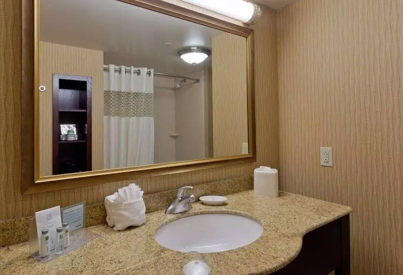 キングサイドベッドのスタンダードワンルーム, Hampton Inn Rochesterwebster